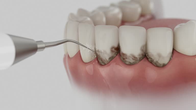 Reliable Dental contractor in Fauquier County County, VA by Dentist Open Now